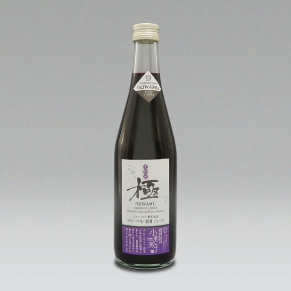 画像1: ブルーベリー果汁100%ジュース　極 [きわみ]（500ml) (1)