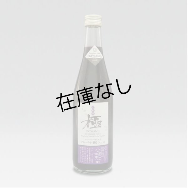 画像1: ブルーベリー果汁100%ジュース　極 [きわみ]（500ml) (1)