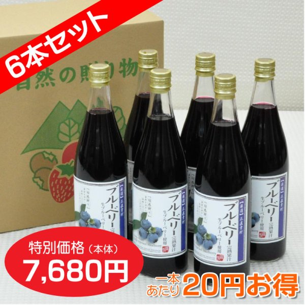 画像1: 信州産ブルーベリージュース[40%]720ml　6本セット【一本あたり930円】 (1)