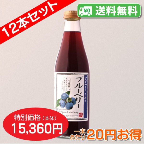 画像3: 【送料無料】信州産ブルーベリー[40%混合果汁入り飲料]720ml　12本セット【一本あたり1,280円】 (3)