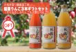 画像2: 健康りんごジュース ３本ギフトセット(すりおろし林檎&林檎&にんじんと林檎) (2)