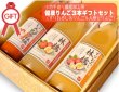 画像1: 健康りんごジュース ３本ギフトセット(すりおろし林檎&林檎&にんじんと林檎) (1)