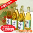 画像1: 冷やし梅　飲む梅はちみつ仕立て　6本セット【一本あたり880円】 (1)