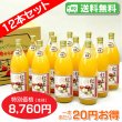 画像1: 【送料無料】南信州産　紅玉ジュース　完熟100%果汁　12本セット【一本あたり630円】 (1)