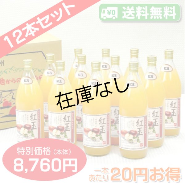 画像1: 【送料無料】南信州産　紅玉ジュース　完熟100%果汁　12本セット【一本あたり730円】 (1)