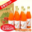画像1: にんじんと林檎ジュース　野菜汁+果汁=100%　6本セット【一本あたり880円】 (1)