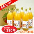 画像1: 南信州産 りんごジュース　完熟100%果汁　6本セット　【一本あたり630円】 (1)