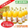 画像1: 【送料無料】南信州産 りんごジュース　完熟100%果汁　12本セット【一本あたり730円】 (1)