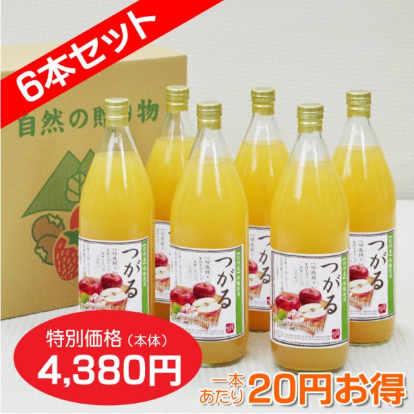 画像1: 南信州産 つがるジュース　完熟100%果汁　6本セット　【一本あたり730円】 (1)