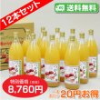画像1: 【送料無料】南信州産 つがるジュース　完熟100%果汁　12本セット【一本あたり730円】 (1)