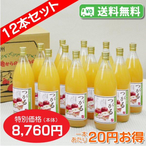 画像1: 【送料無料】南信州産 つがるジュース　完熟100%果汁　12本セット【一本あたり730円】 (1)