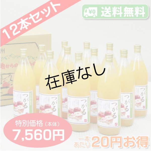 画像1: 【送料無料】南信州産 つがるジュース　完熟100%果汁　12本セット【一本あたり630円】 (1)