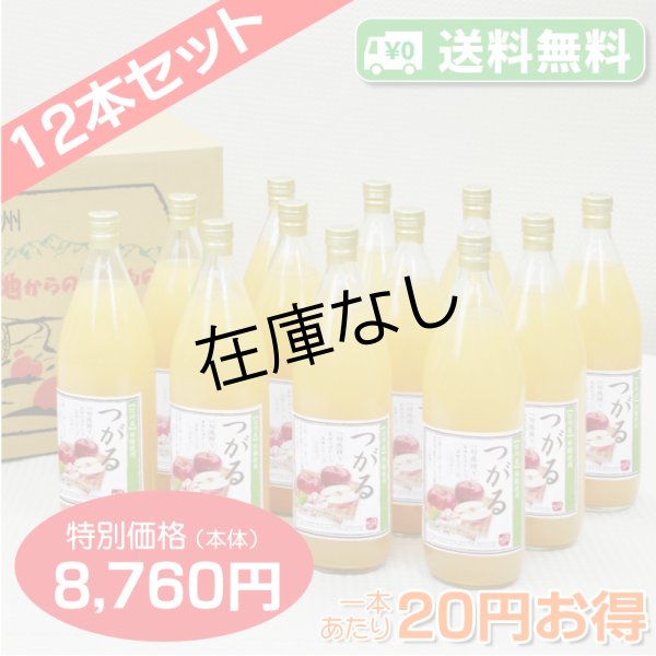 画像1: 【送料無料】南信州産 つがるジュース　完熟100%果汁　12本セット【一本あたり730円】 (1)