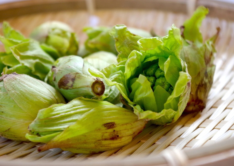 信州の春の味と言えば、「ふきのとう」。長く厳しい冬を耐えて、春を迎えた新しい芽吹き、植物の生命力が凝縮しています。