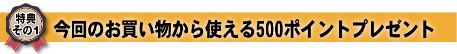 特典その１