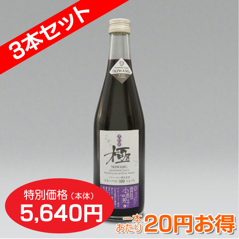 ブルーベリー果汁100%ジュース 極[きわみ] (500ml)３本セット【１本あたり1,880円】