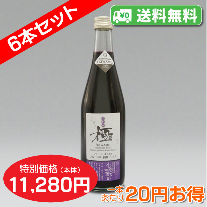 【送料無料】ブルーベリー果汁100%ジュース 極[きわみ] (500ml)６本セット【１本あたり1,880円】