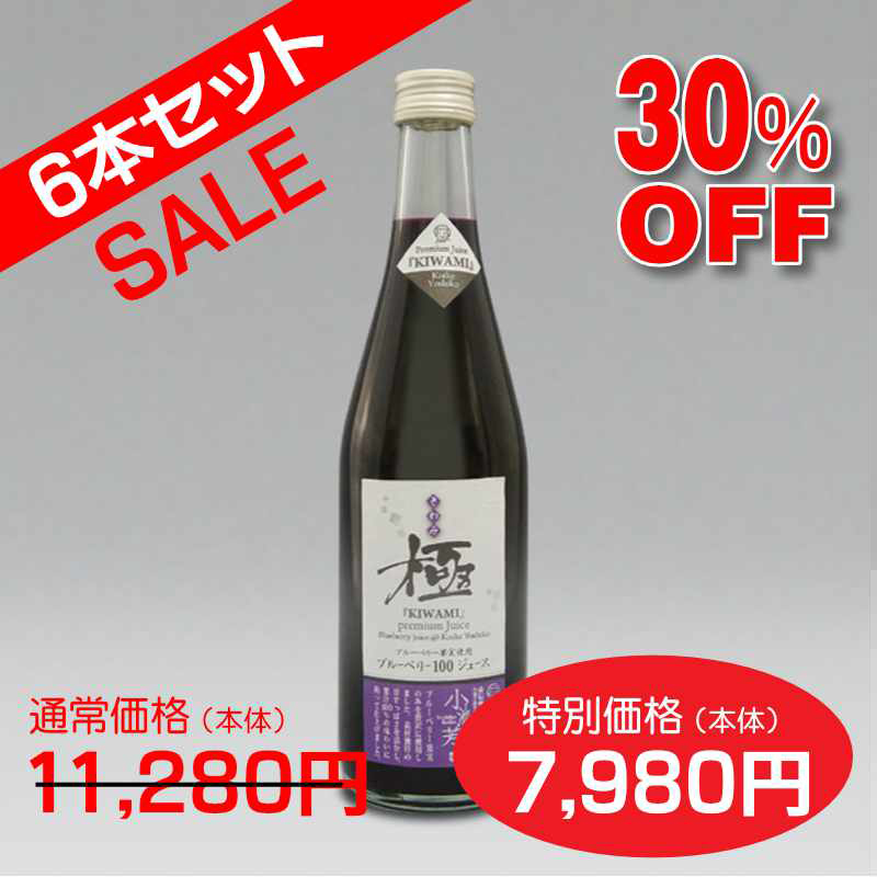 【送料無料】ブルーベリー果汁100%ジュース 極[きわみ] (500ml)６本セット【１本あたり1,880円】