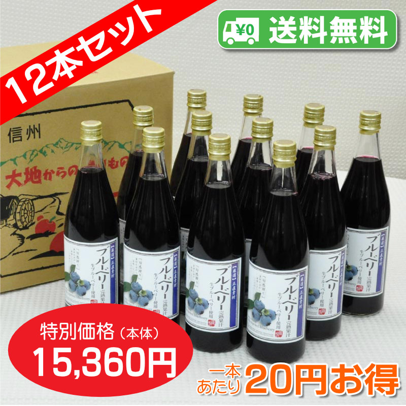 【送料無料】信州産ブルーベリー[40%混合果汁入り飲料]720ml　12本セット【一本あたり1,280円】