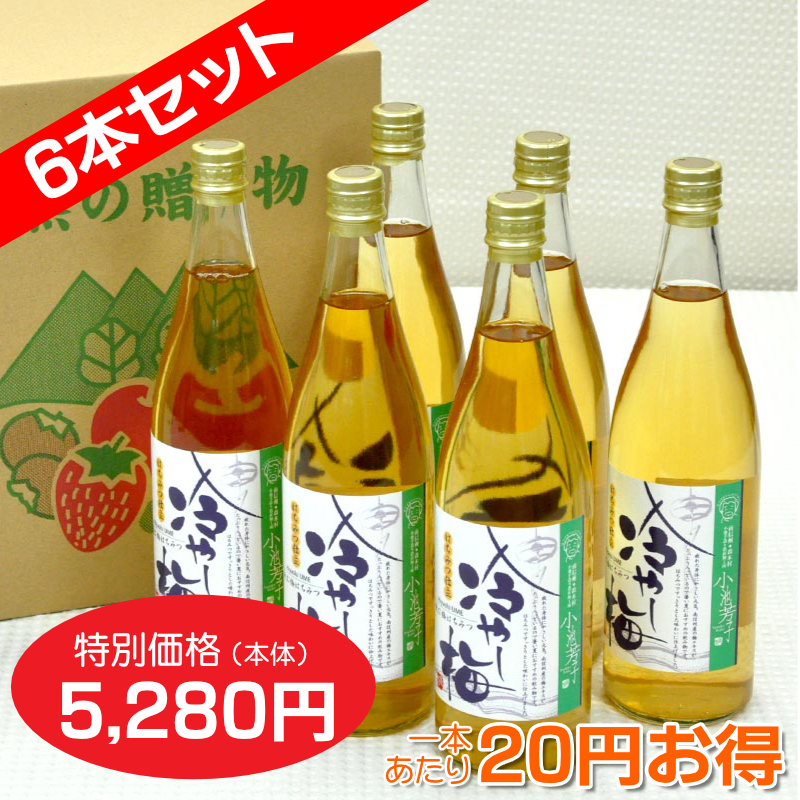 冷やし梅　飲む梅はちみつ仕立て　6本セット【一本あたり880円】