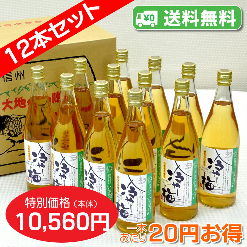 【送料無料】冷やし梅　飲む梅はちみつ仕立て　12本セット【一本あたり880円】