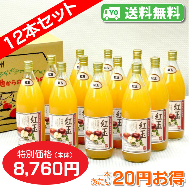 【送料無料】南信州産　紅玉ジュース　完熟100%果汁　12本セット【一本あたり730円】