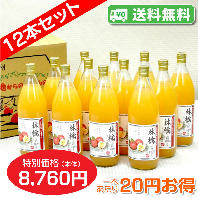 【送料無料】南信州産 りんごジュース　完熟100%果汁　12本セット【一本あたり730円】